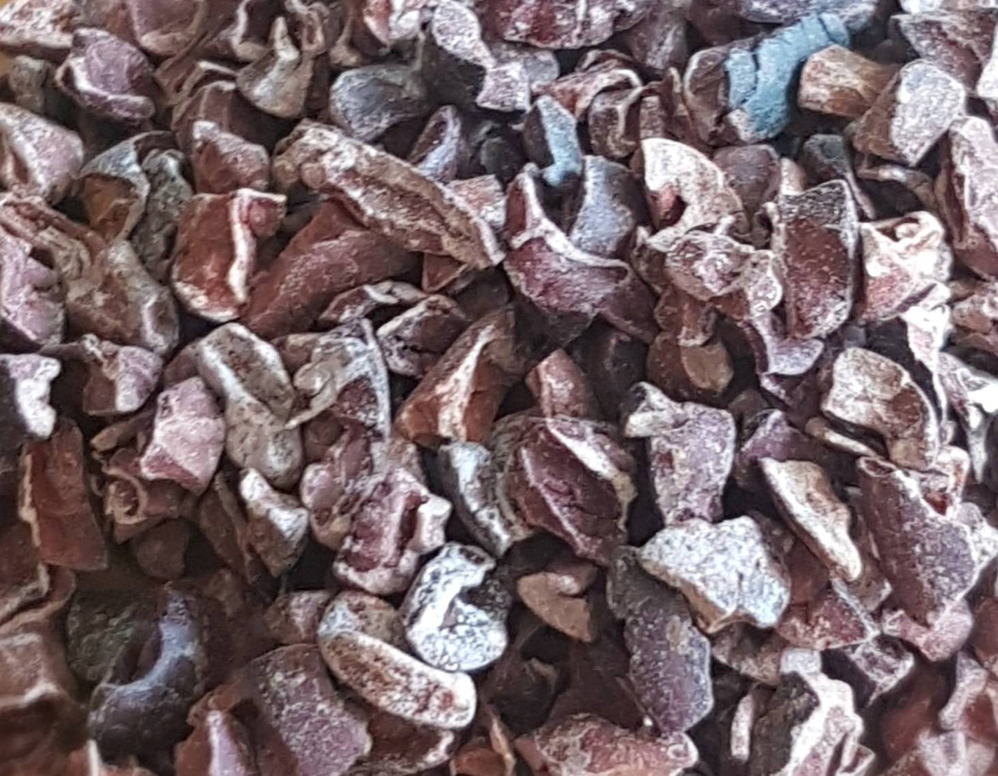 Cacao Nibs